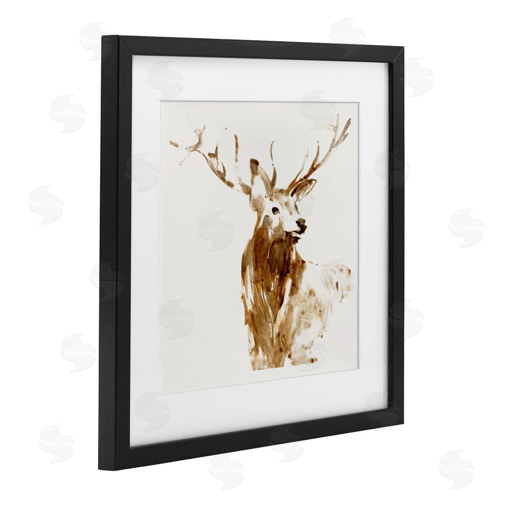 Sundance Graphics Deer Portrait Head Shot Black Framed Print Under Glass Wall Art