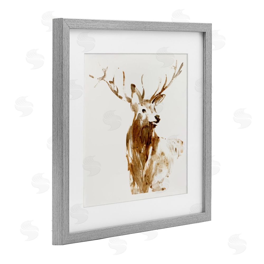 Sundance Graphics Deer Portrait Head Shot Gray Framed Print Under Glass Wall Art