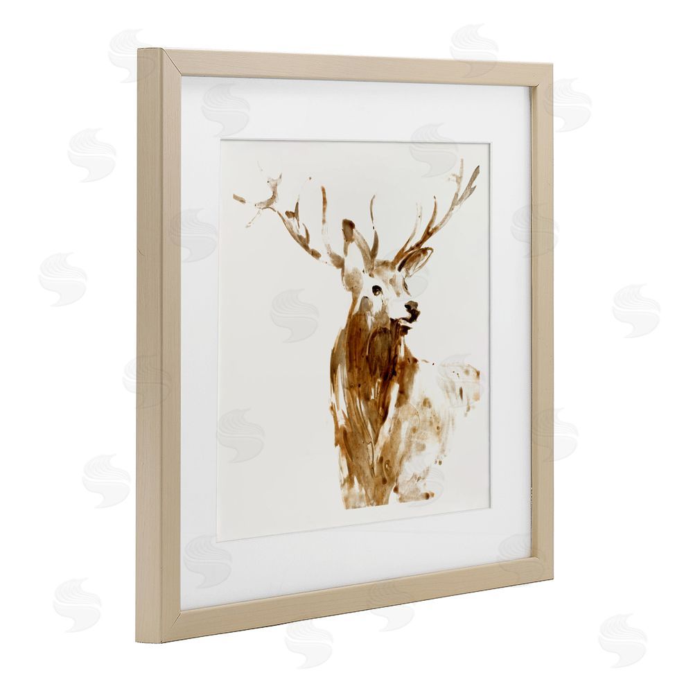 Sundance Graphics Deer Portrait Head Shot Birch Framed Print Under Glass Wall Art