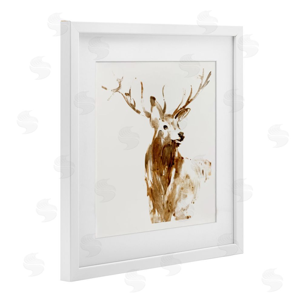 Sundance Graphics Deer Portrait Head Shot White Framed Print Under Glass Wall Art