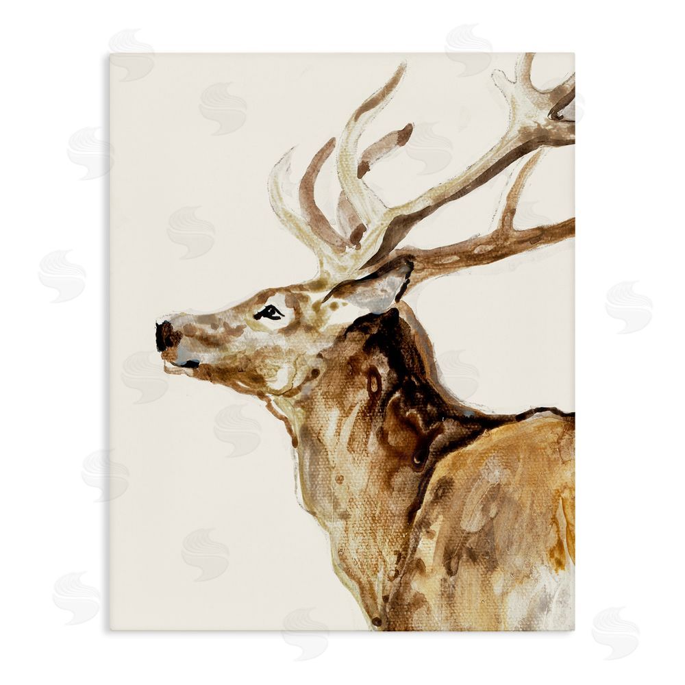 Sundance Graphics Deer Portrait Profile View Canvas Wall Art Print