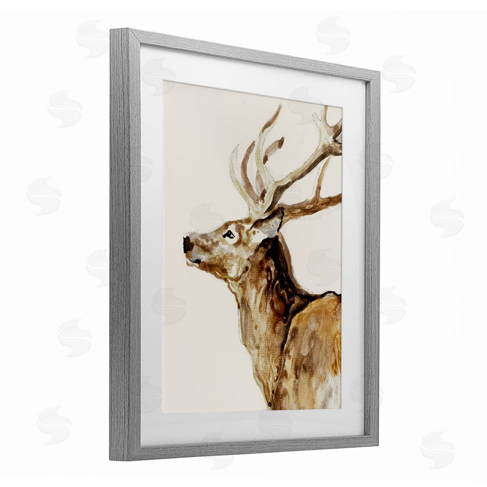 Sundance Graphics Deer Portrait Profile View Gray Framed Print Under Glass Wall Art