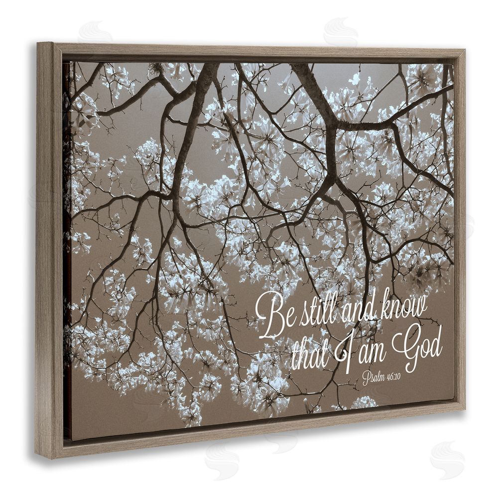 Sundance Graphics Be Still Apple Blossoms Brown Floating Frame Canvas Wall Art Print