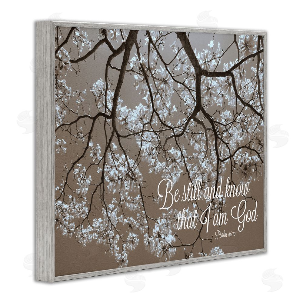 Sundance Graphics Be Still Apple Blossoms Gray Framed Giclee Wall Art Print
