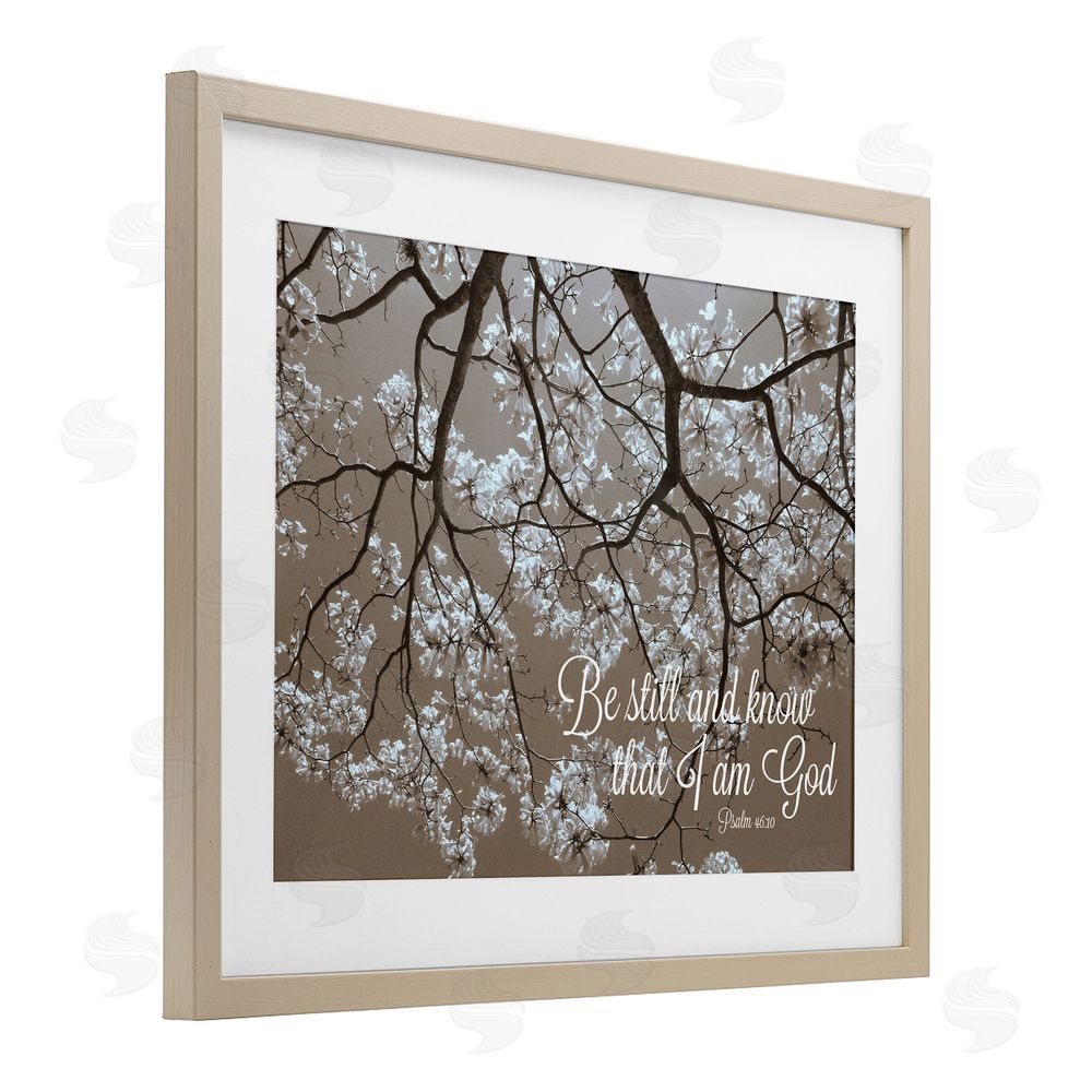 Sundance Graphics Be Still Apple Blossoms Birch Framed Print Under Glass Wall Art