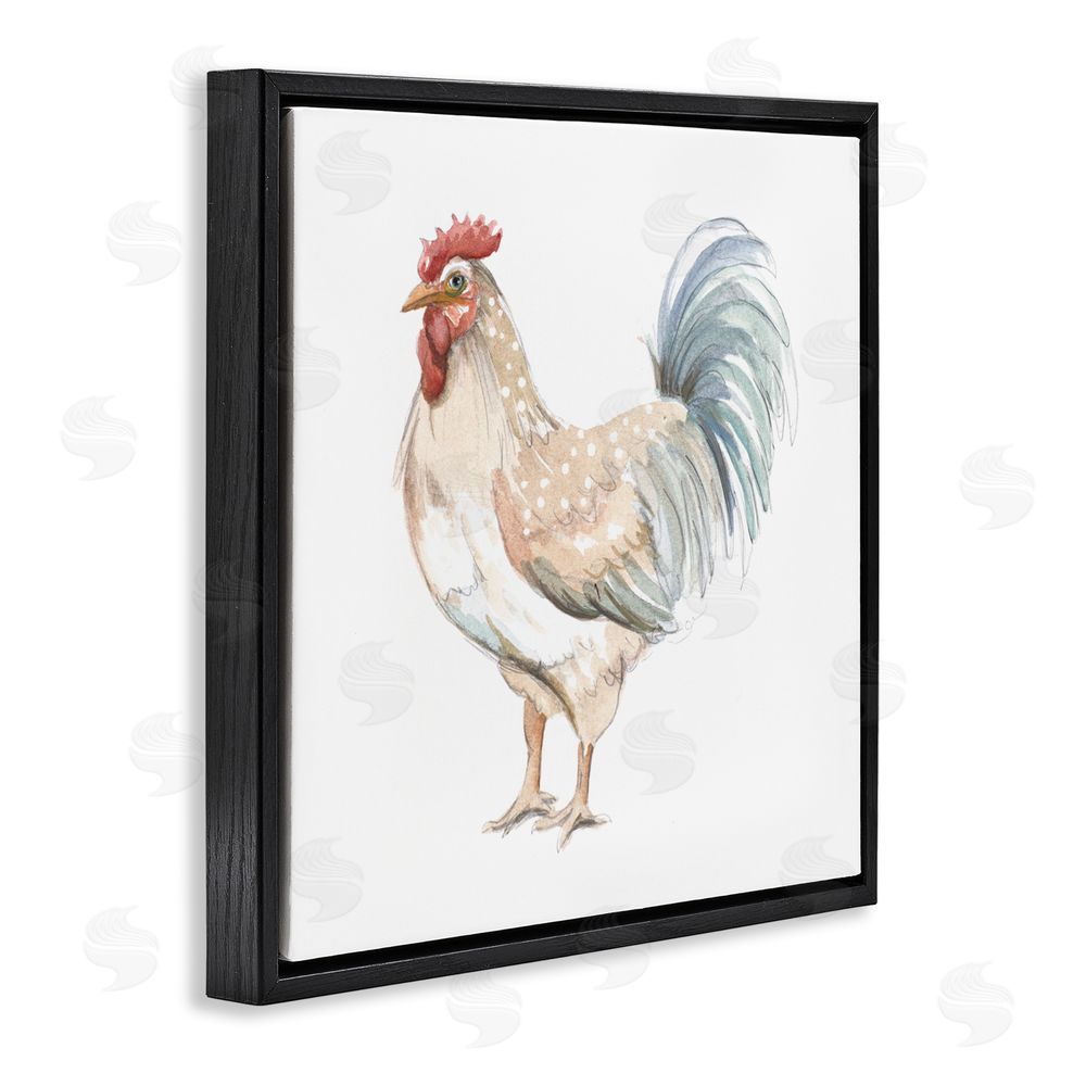 Sundance Graphics Watercolor Rooster Sketch Black Floating Frame Canvas Wall Art Print