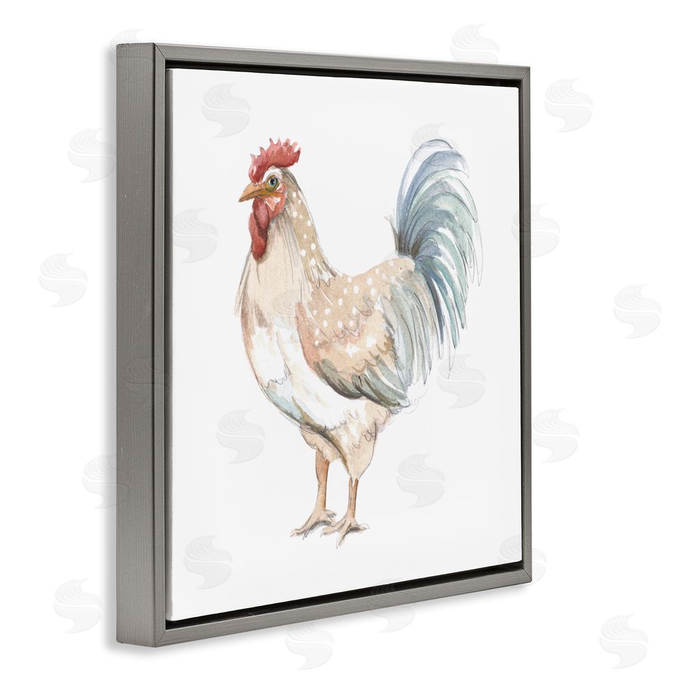 Sundance Graphics Watercolor Rooster Sketch Gray Floating Frame Canvas Wall Art Print