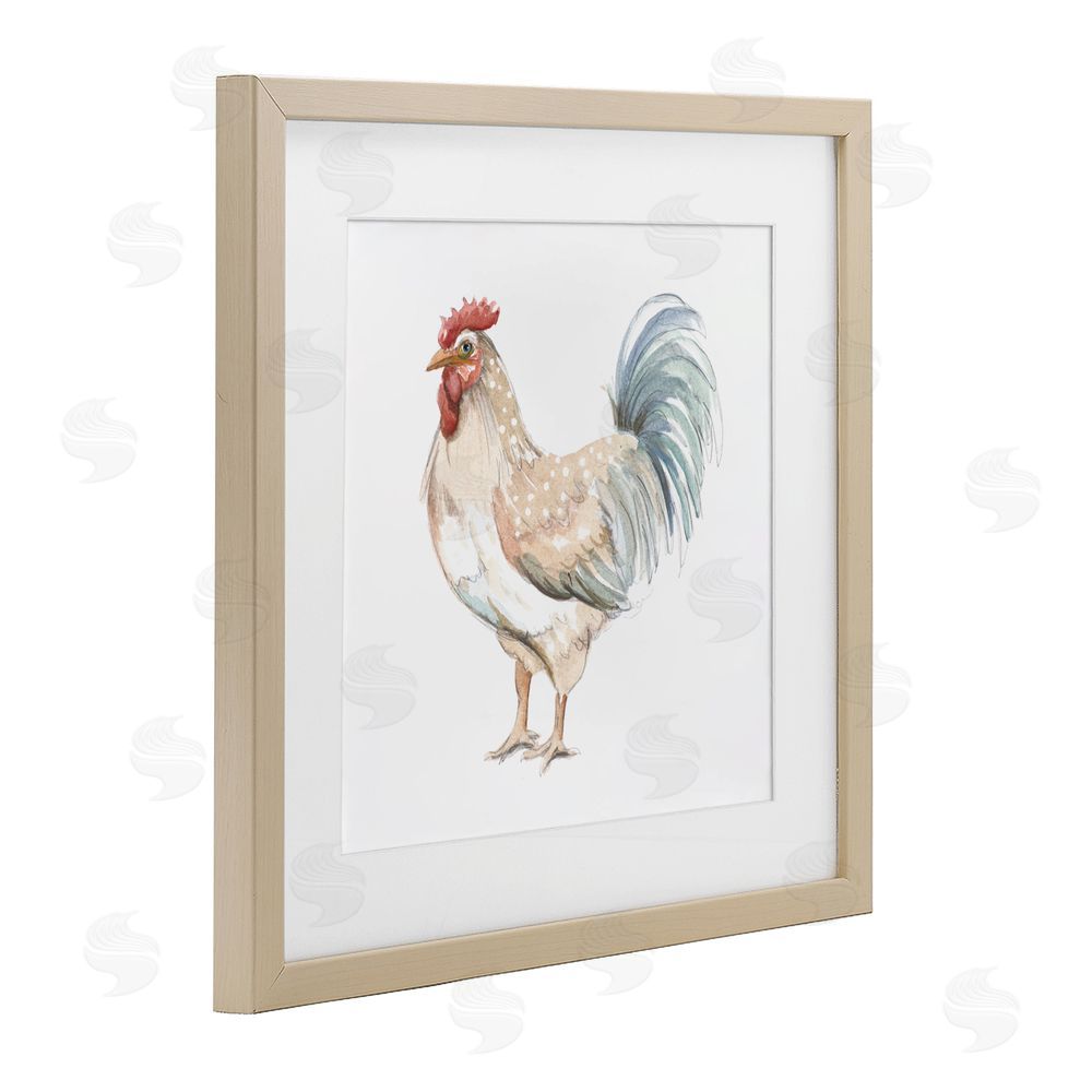 Sundance Graphics Watercolor Rooster Sketch Birch Framed Print Under Glass Wall Art