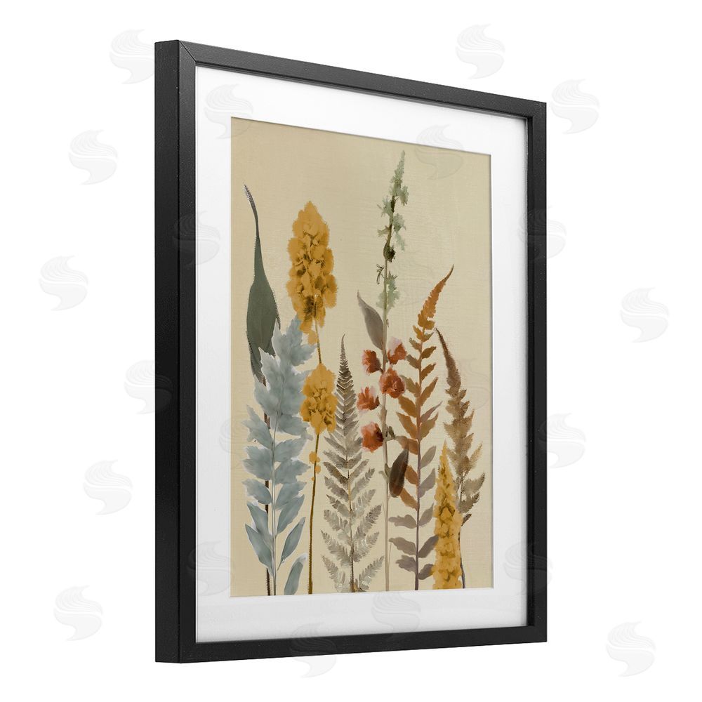 Elizabeth Medley Autumnal Wild Plants Black Framed Print Under Glass with White Mat Wall Art