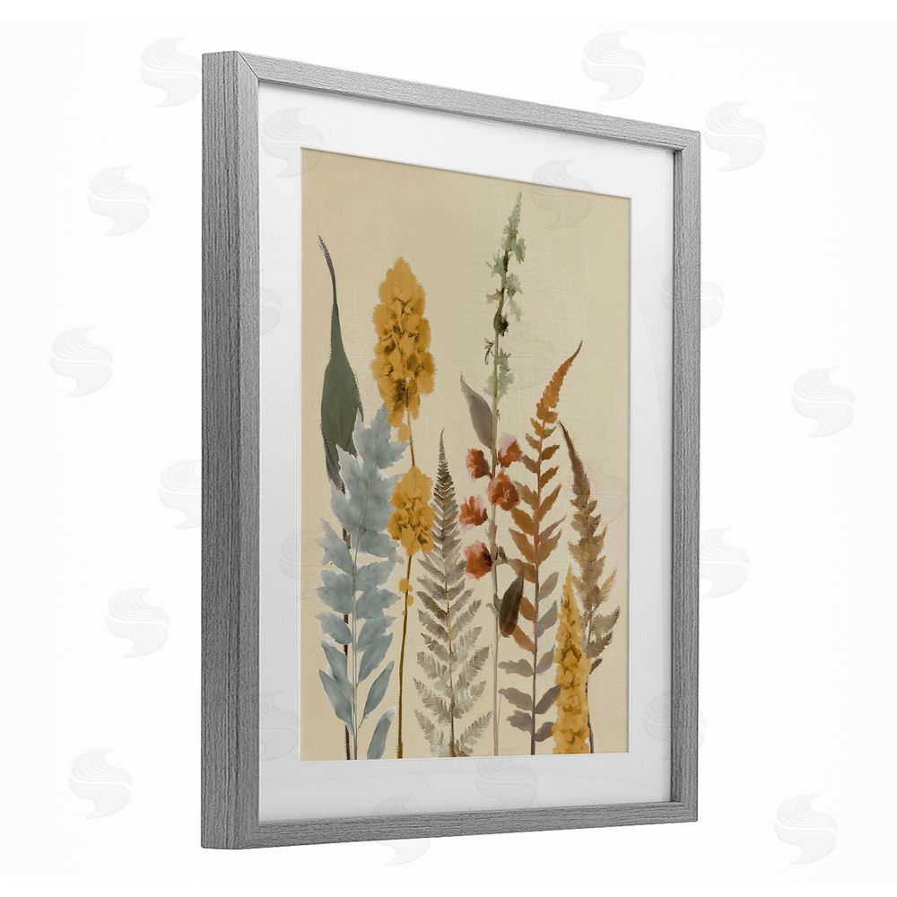 Elizabeth Medley Autumnal Wild Plants Gray Framed Print Under Glass with White Mat Wall Art