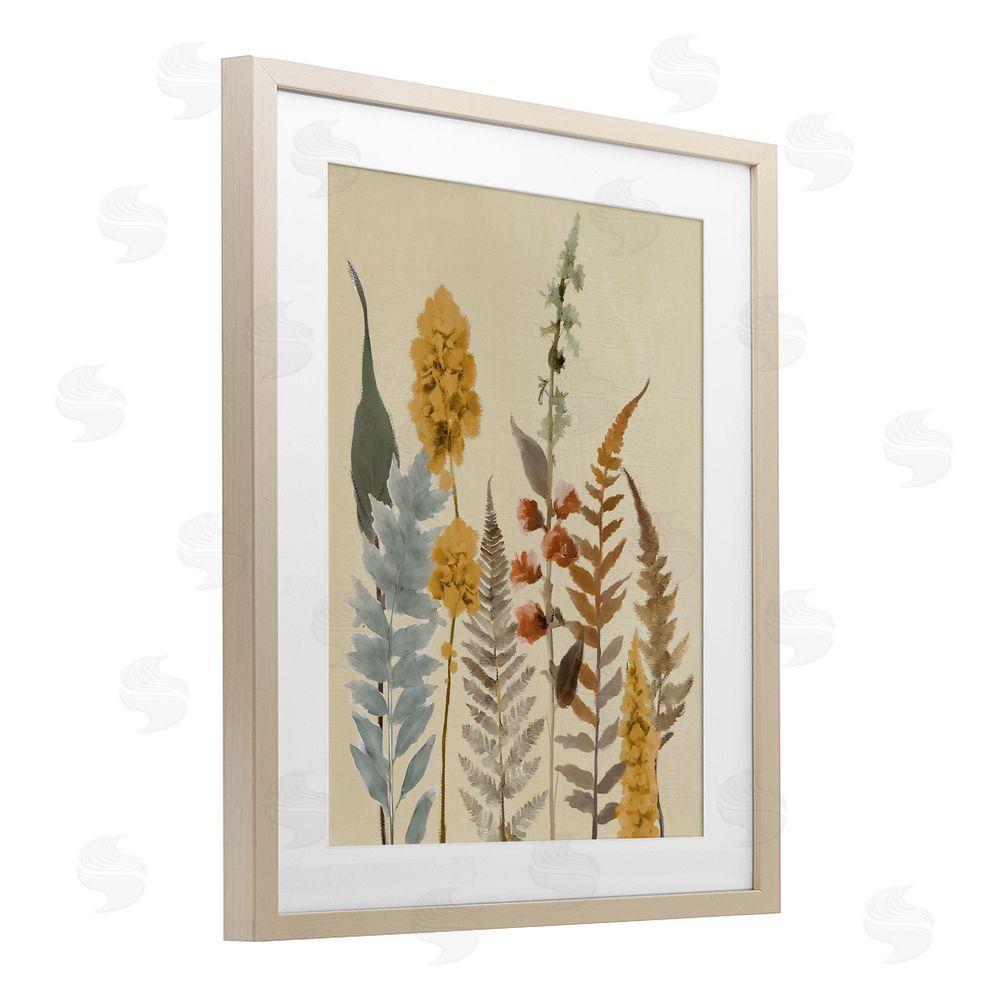 Elizabeth Medley Autumnal Wild Plants Birch Framed Print Under Glass with White Mat Wall Art