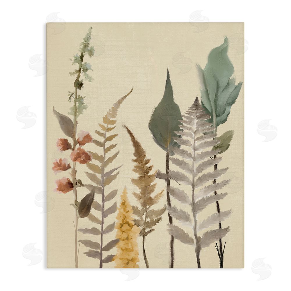 Sundance Graphics Fall Botanicals Forest Ferns Canvas Wall Art Print