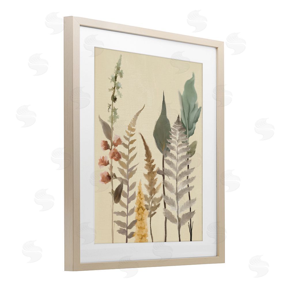 Sundance Graphics Fall Botanicals Forest Ferns Birch Framed Print Under Glass Wall Art