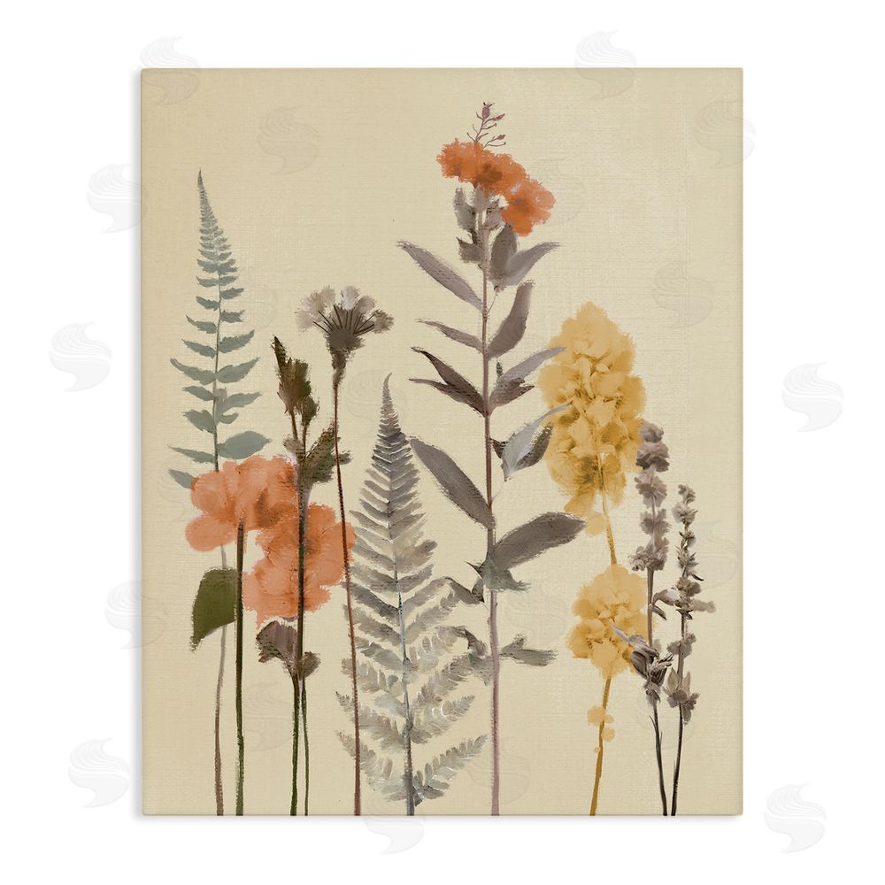 Sundance Graphics Fall Botanicals Fresh Ferns Canvas Wall Art Print