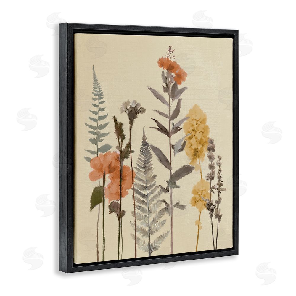 Sundance Graphics Fall Botanicals Fresh Ferns Black Floating Frame Canvas Wall Art Print