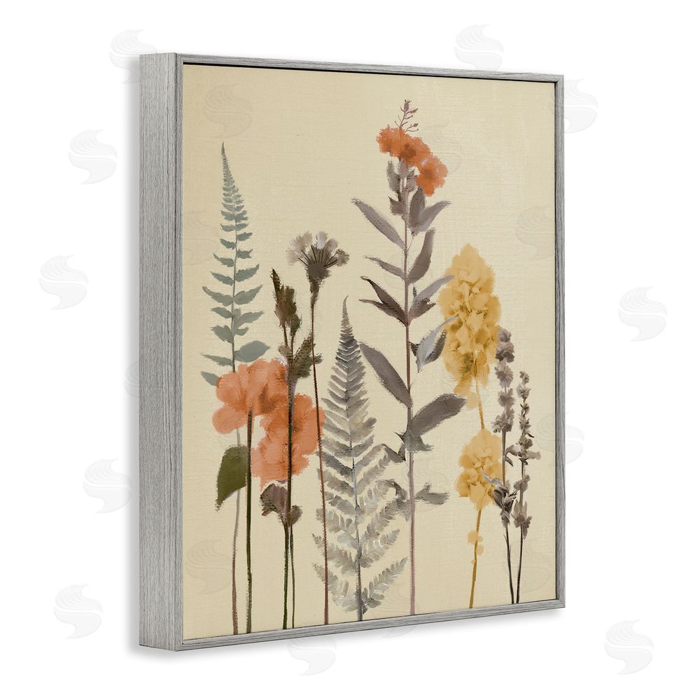 Sundance Graphics Fall Botanicals Fresh Ferns Gray Framed Giclee Wall Art Print