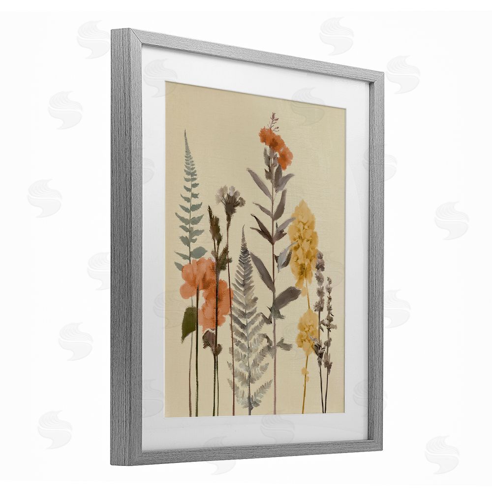Sundance Graphics Fall Botanicals Fresh Ferns Gray Framed Print Under Glass Wall Art