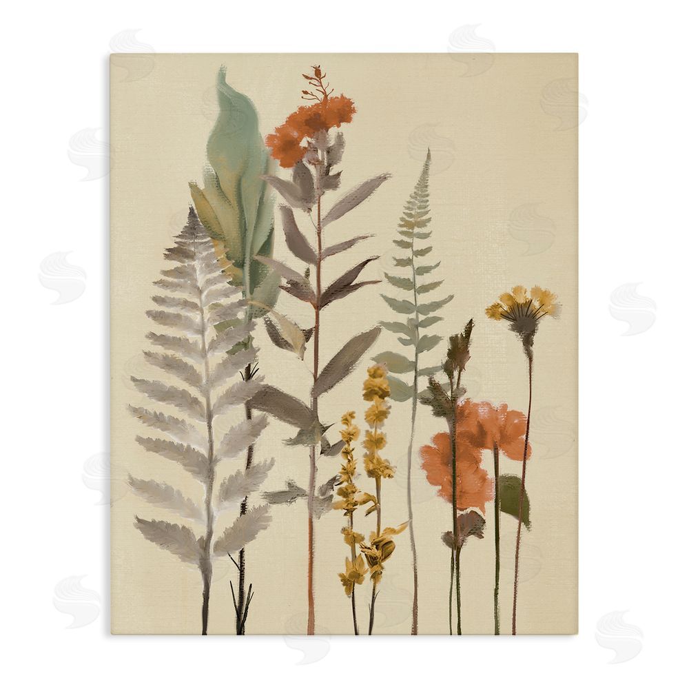 Sundance Graphics Fall Botanicals and Ferns Canvas Wall Art Print