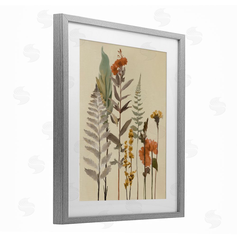 Sundance Graphics Fall Botanicals and Ferns Gray Framed Print Under Glass Wall Art