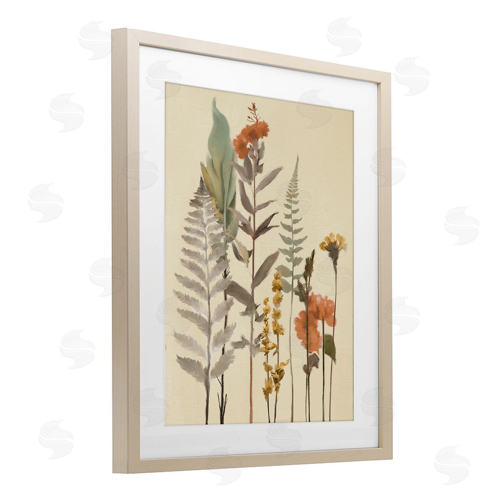 Sundance Graphics Fall Botanicals and Ferns Birch Framed Print Under Glass Wall Art