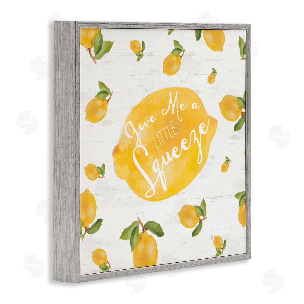 Sundance Graphics Give Me A Squeeze Gray Framed Giclee Wall Art Print