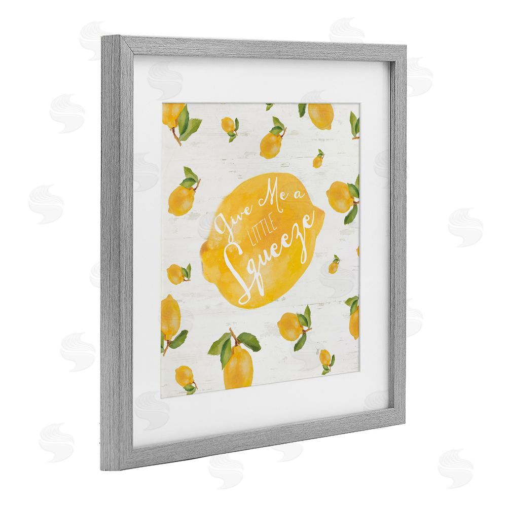 Sundance Graphics Give Me A Squeeze Gray Framed Print Under Glass Wall Art