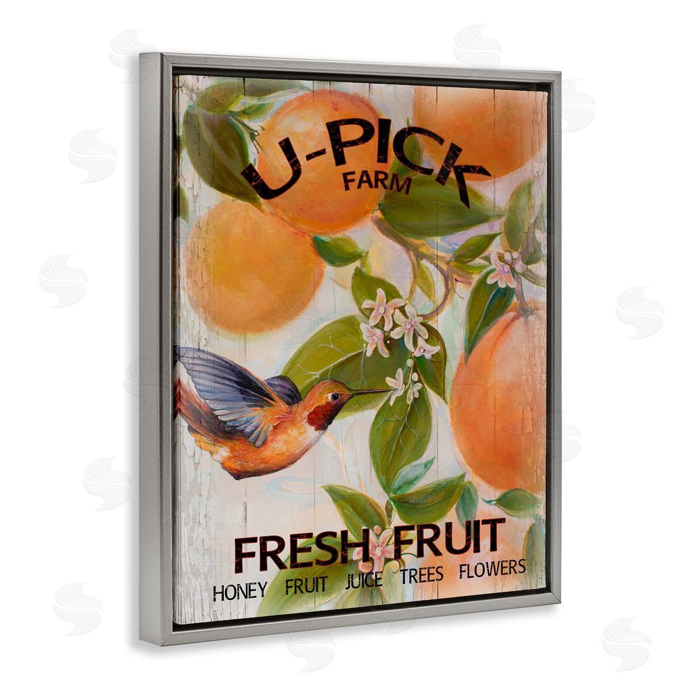Sundance Graphics U-Pick Fresh Fruit Farm Gray Floating Frame Canvas Wall Art Print