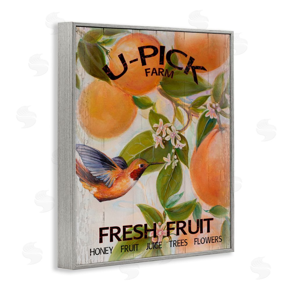 Sundance Graphics U-Pick Fresh Fruit Farm Gray Framed Giclee Wall Art Print
