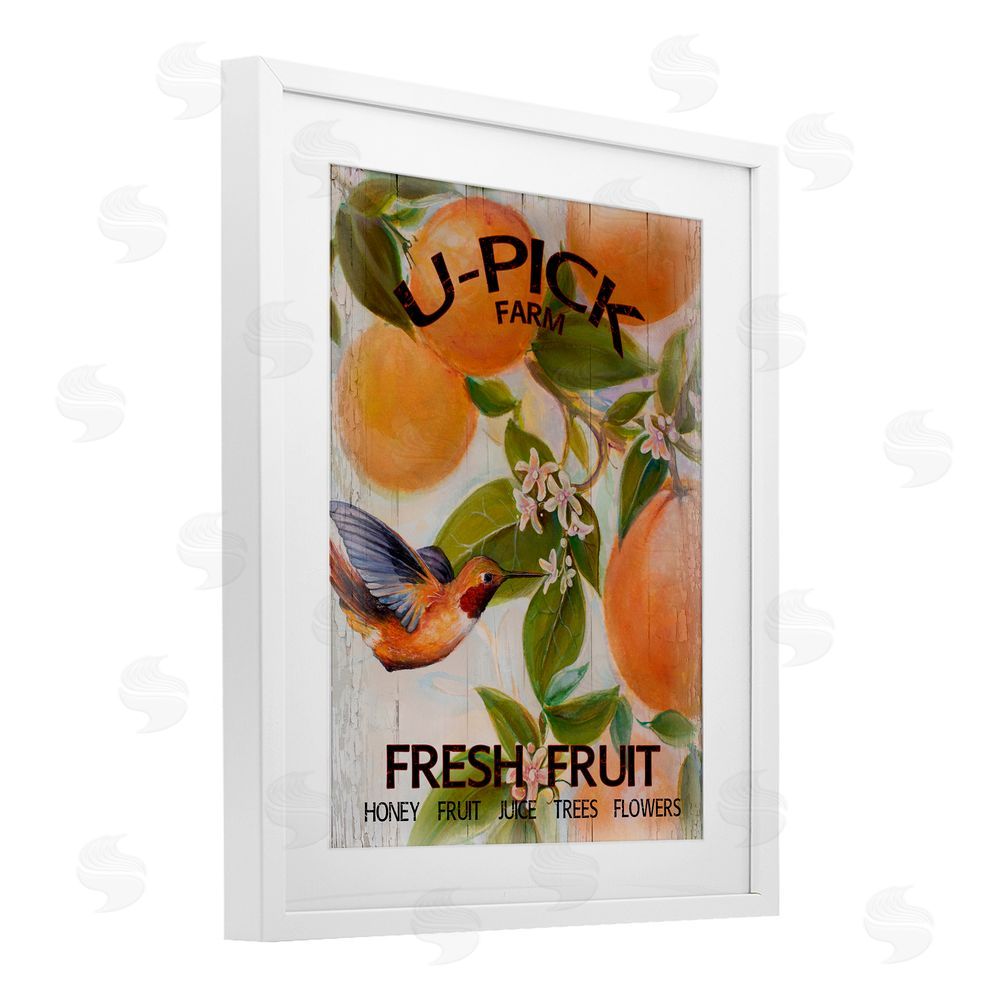 Sundance Graphics U-Pick Fresh Fruit Farm White Framed Print Under Glass Wall Art