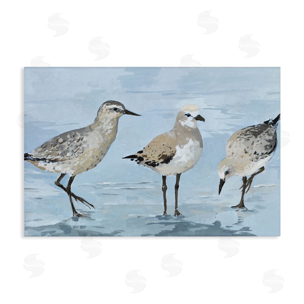 Sundance Graphics Sandpipers Beach Coastal Scene Canvas Wall Art Print