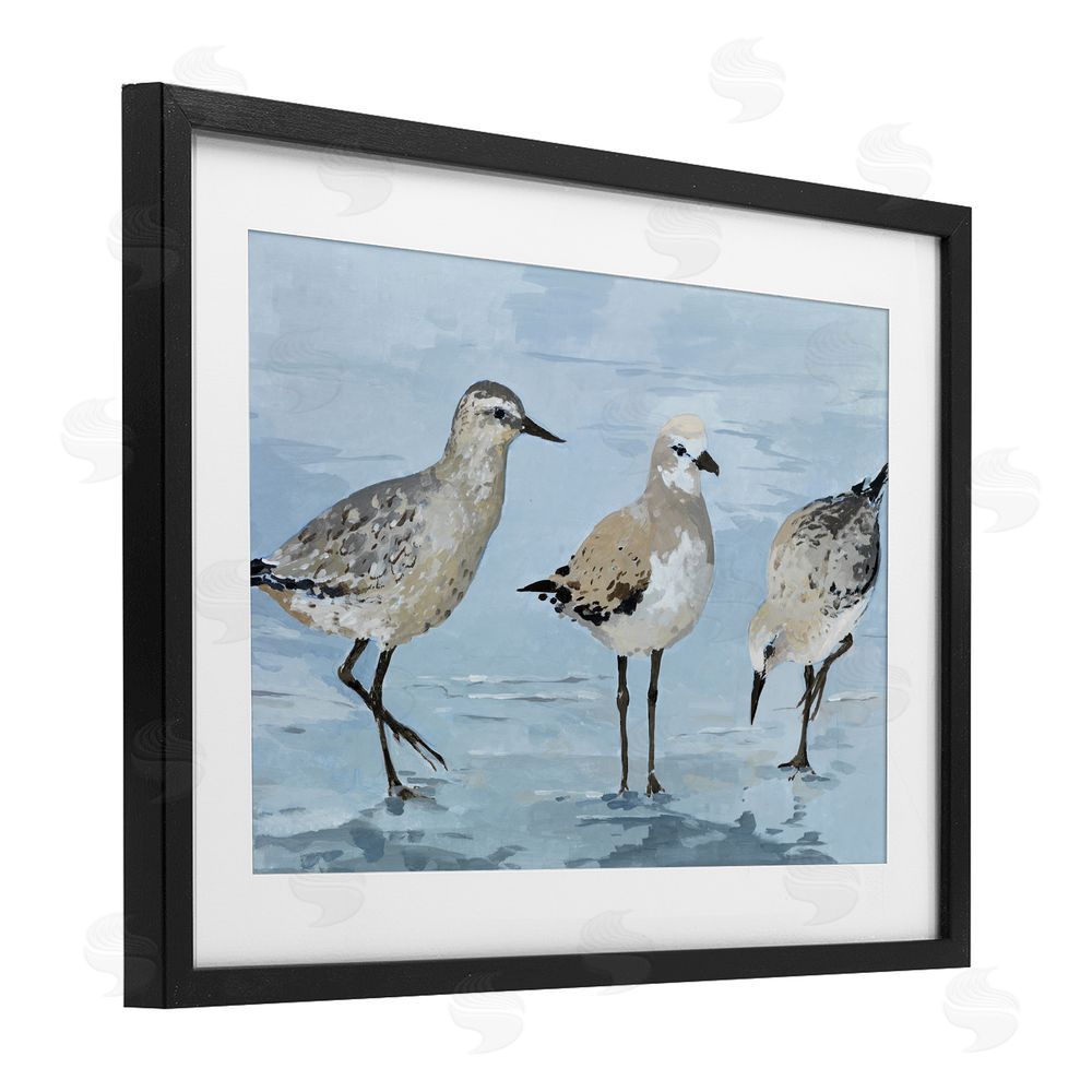 Sundance Graphics Sandpipers Beach Coastal Scene Black Framed Print Under Glass Wall Art