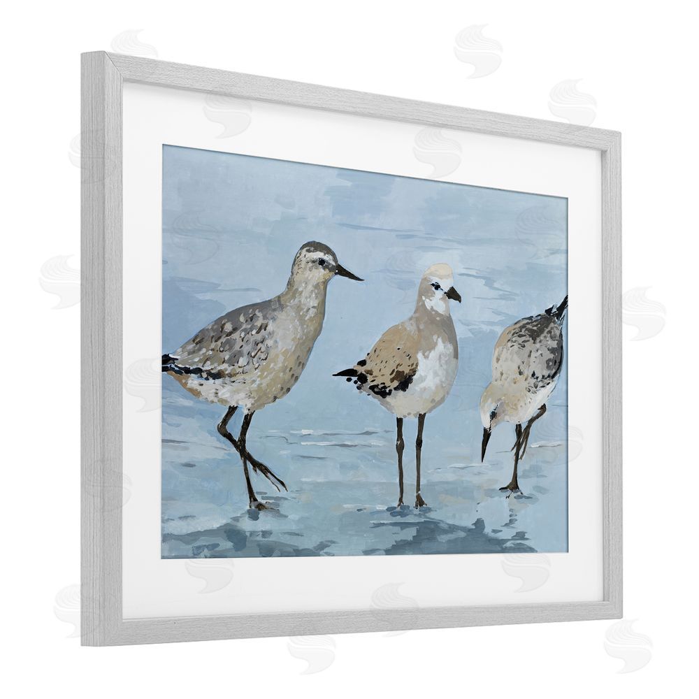 Sundance Graphics Sandpipers Beach Coastal Scene Gray Framed Print Under Glass Wall Art