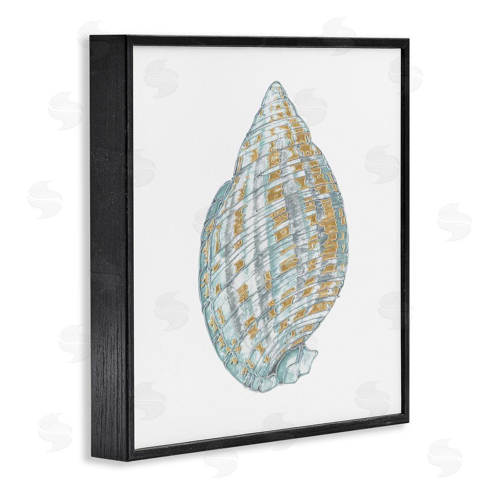 Sundance Graphics Regal Shells Spiral Black Framed Giclee Wall Art Print