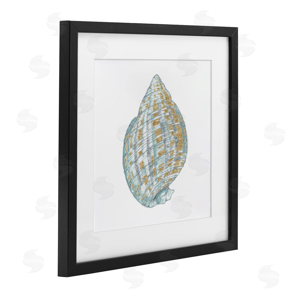 Sundance Graphics Regal Shells Spiral Black Framed Print Under Glass Wall Art