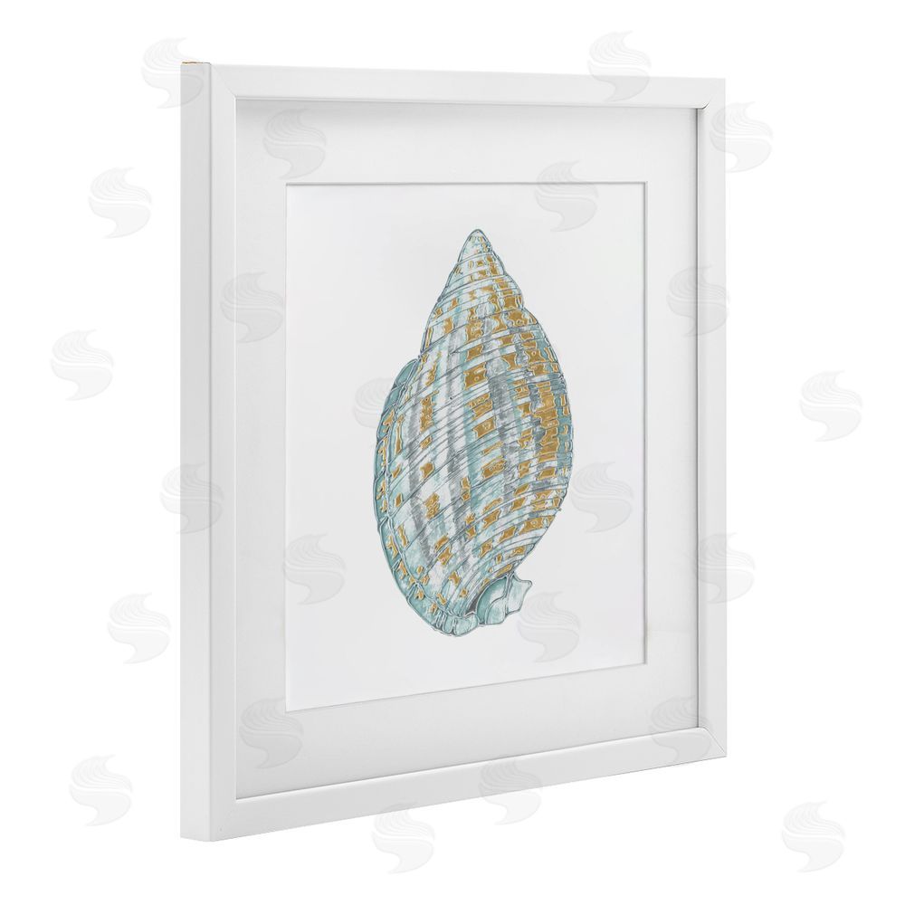 Sundance Graphics Regal Shells Spiral White Framed Print Under Glass Wall Art