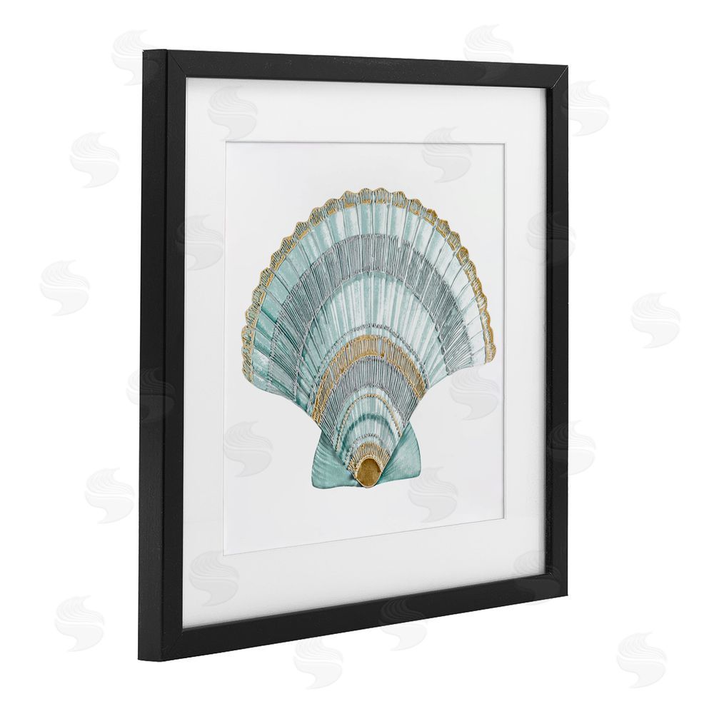 Sundance Graphics Regal Shells Scallop Black Framed Print Under Glass Wall Art