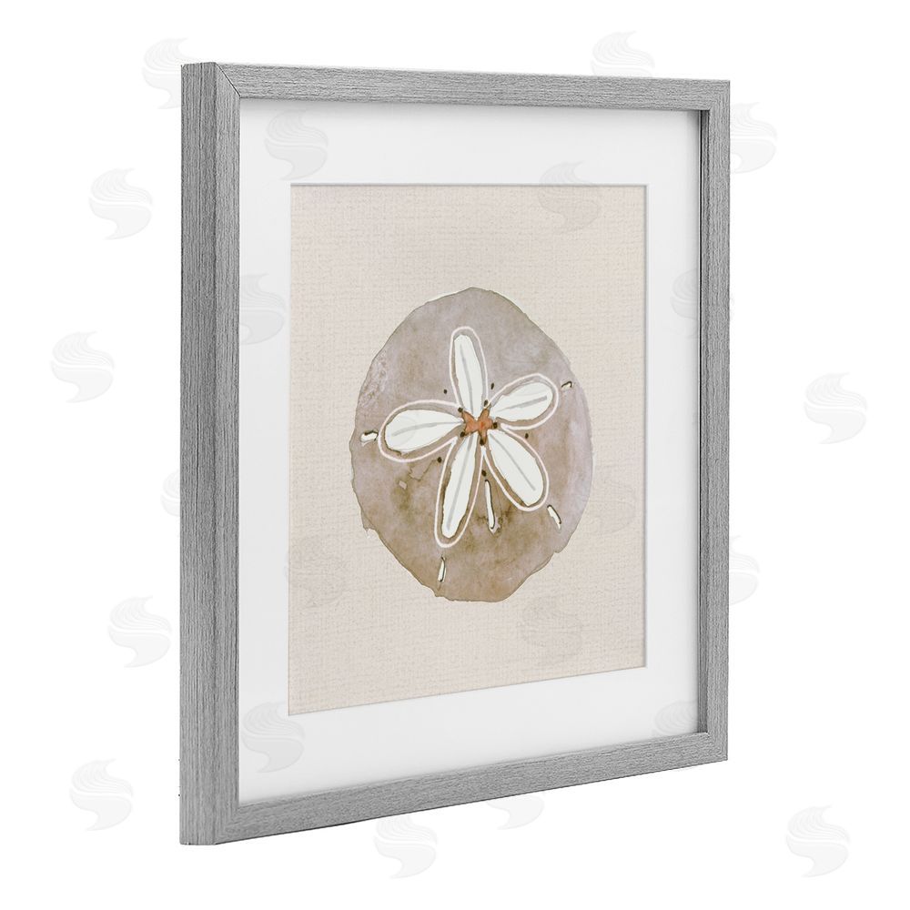 Sundance Graphics Serene Beige Sand Dollar Gray Framed Print Under Glass Wall Art