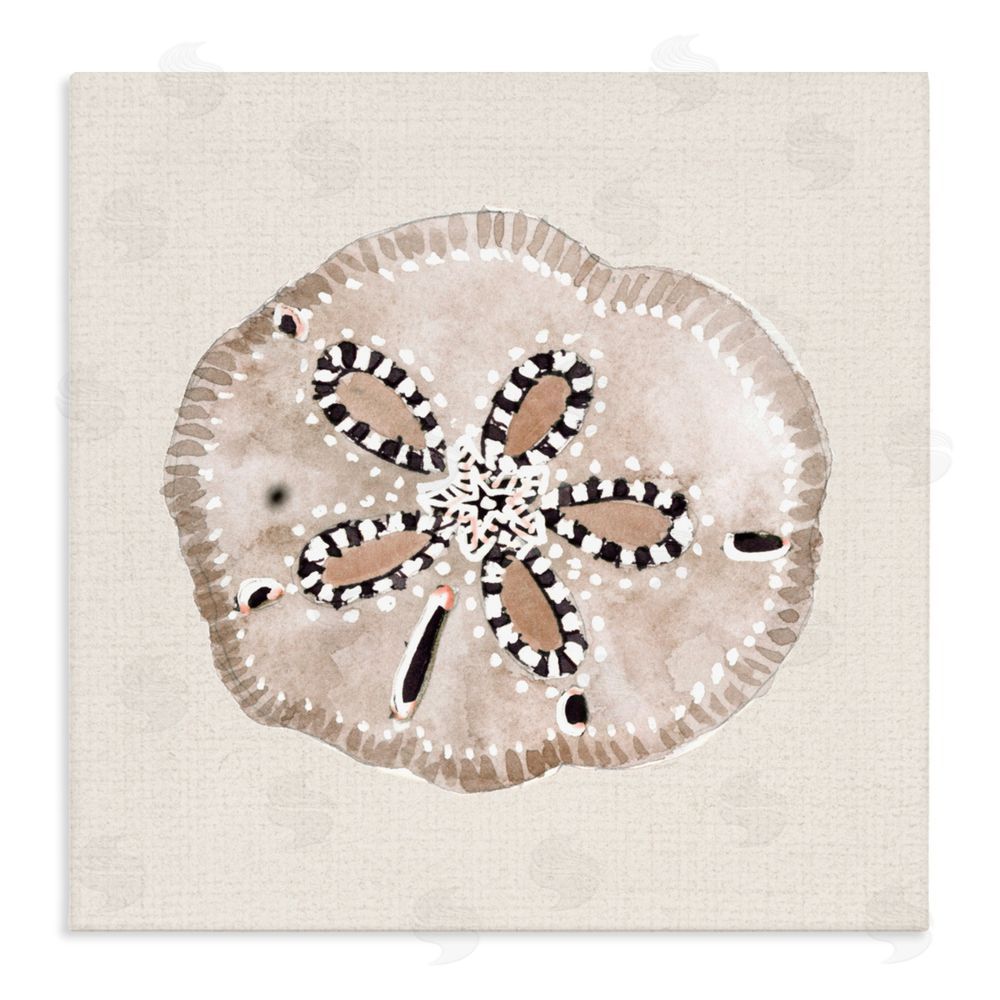 Sundance Graphics Taupe & Beige Sand Dollar Canvas Wall Art Print