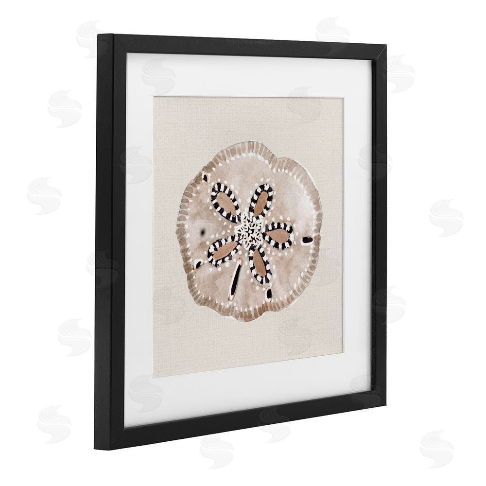 Sundance Graphics Taupe & Beige Sand Dollar Black Framed Print Under Glass Wall Art