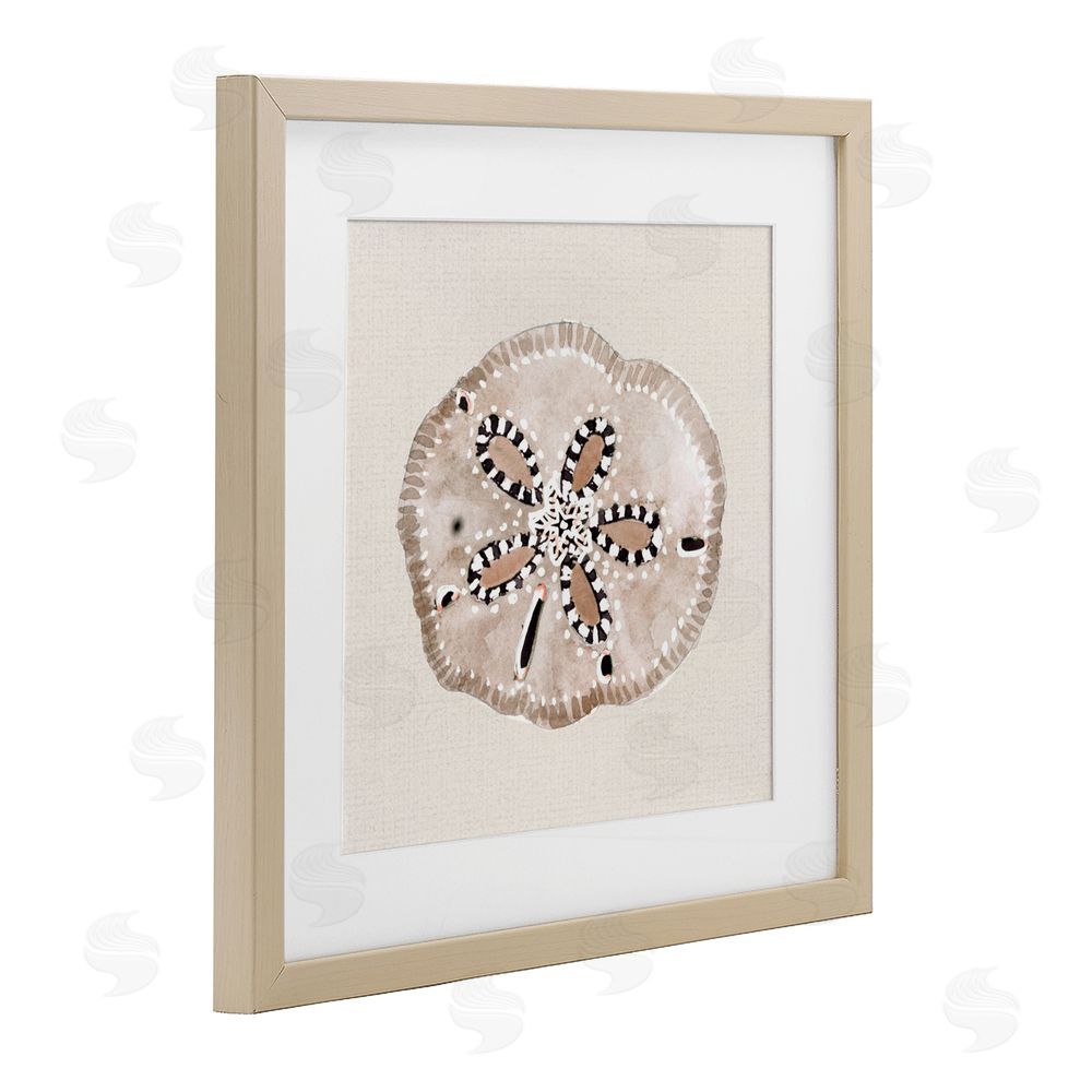 Sundance Graphics Taupe & Beige Sand Dollar Birch Framed Print Under Glass Wall Art
