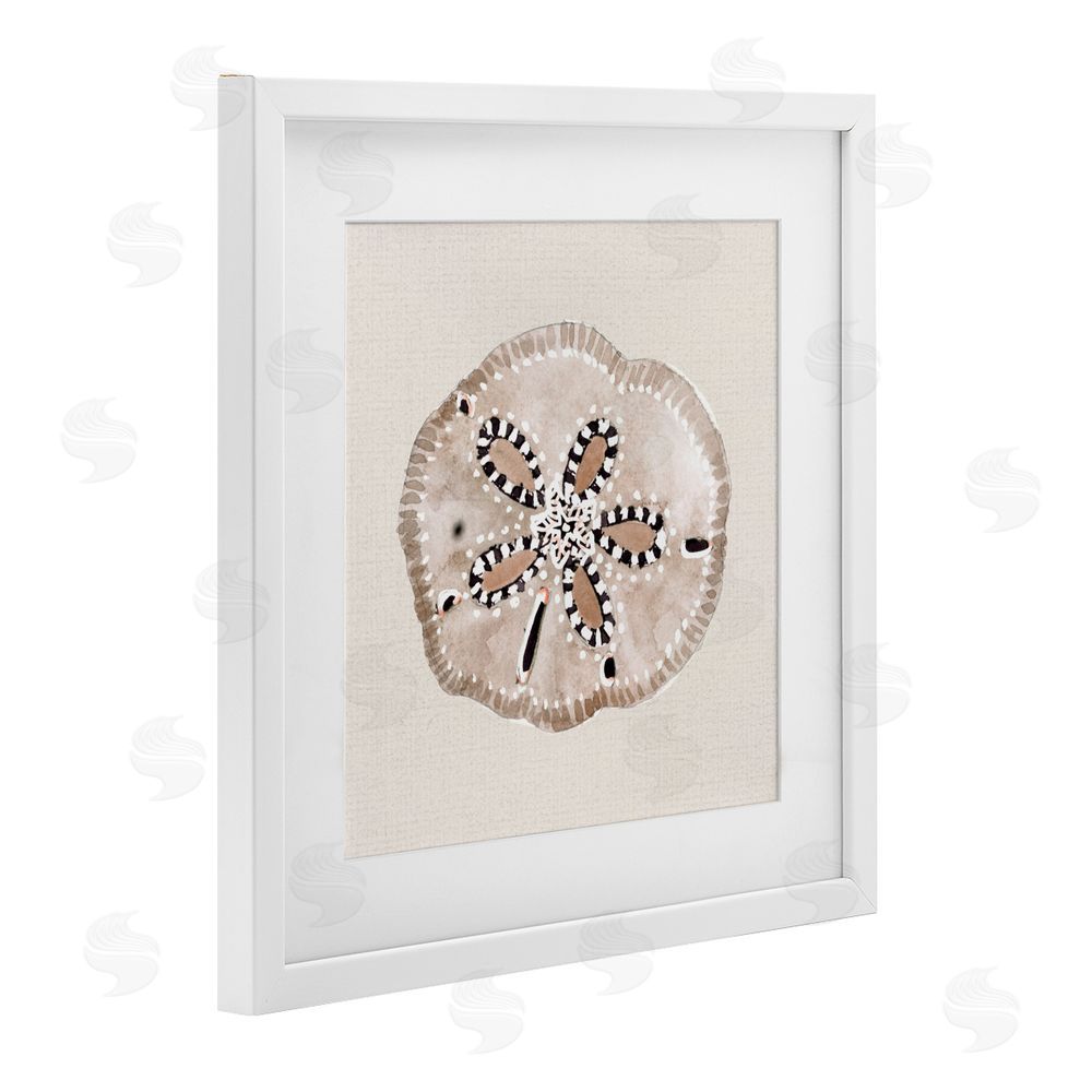 Sundance Graphics Taupe & Beige Sand Dollar White Framed Print Under Glass Wall Art