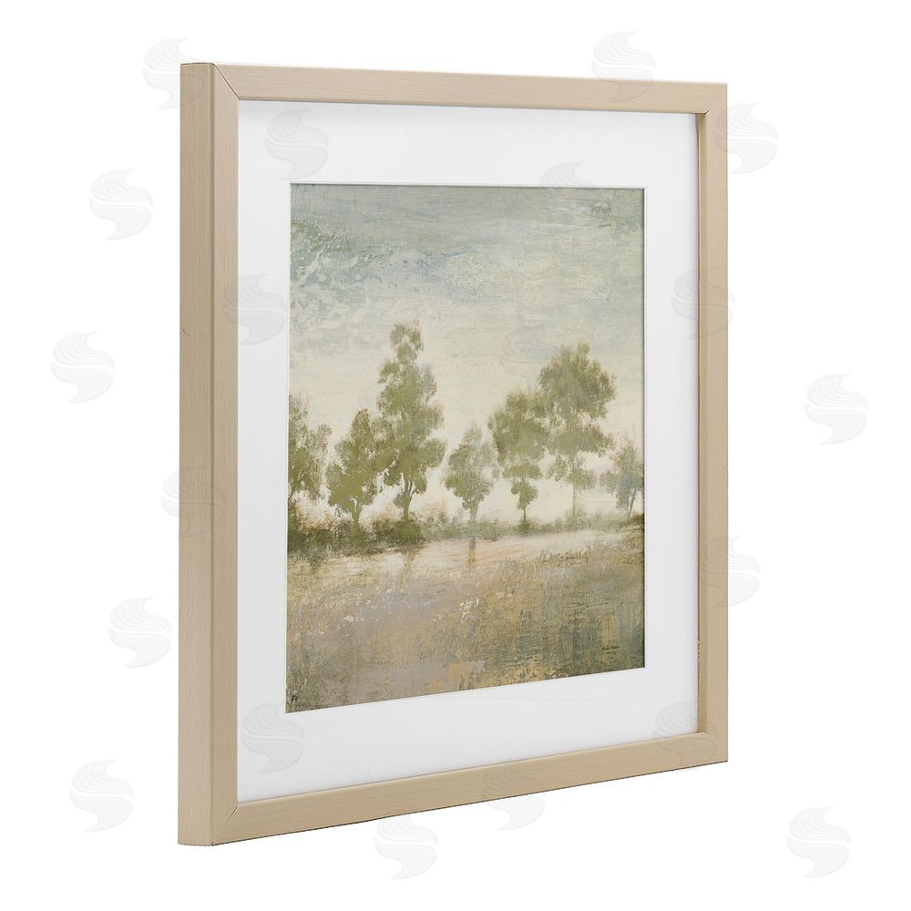 Sundance Graphics Forest Light Landscape Birch Framed Print Under Glass Wall Art