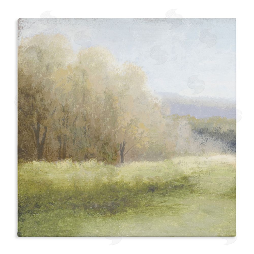Sundance Graphics Within Familiar Place Meadow Canvas Wall Art Print
