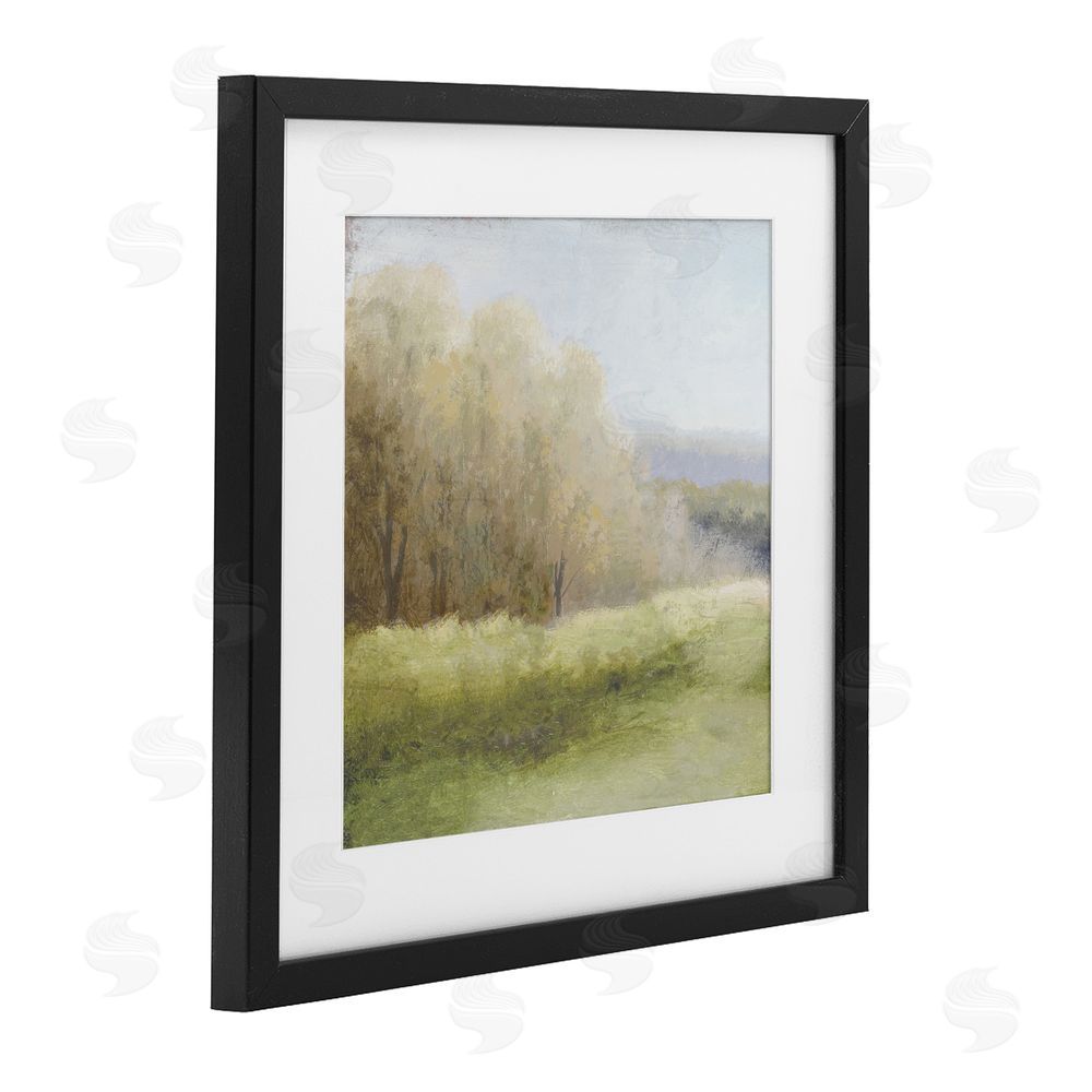 Sundance Graphics Within Familiar Place Meadow Black Framed Print Under Glass Wall Art