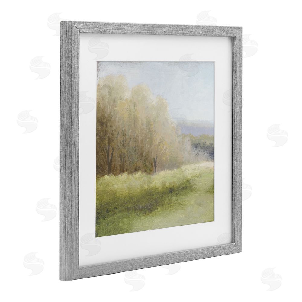 Sundance Graphics Within Familiar Place Meadow Gray Framed Print Under Glass Wall Art