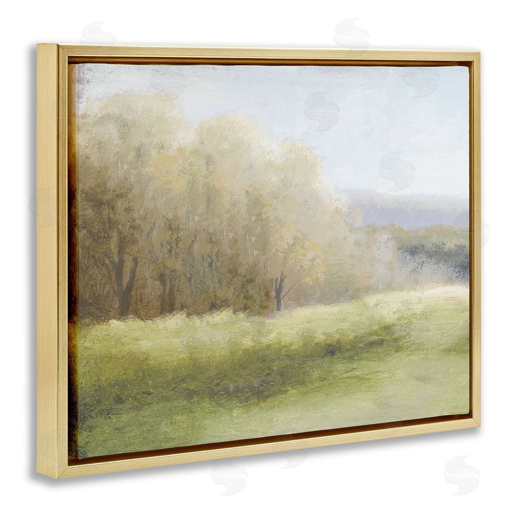 Sundance Graphics Within a Familiar Place Landscape Gold Floating Frame Canvas Wall Art Print