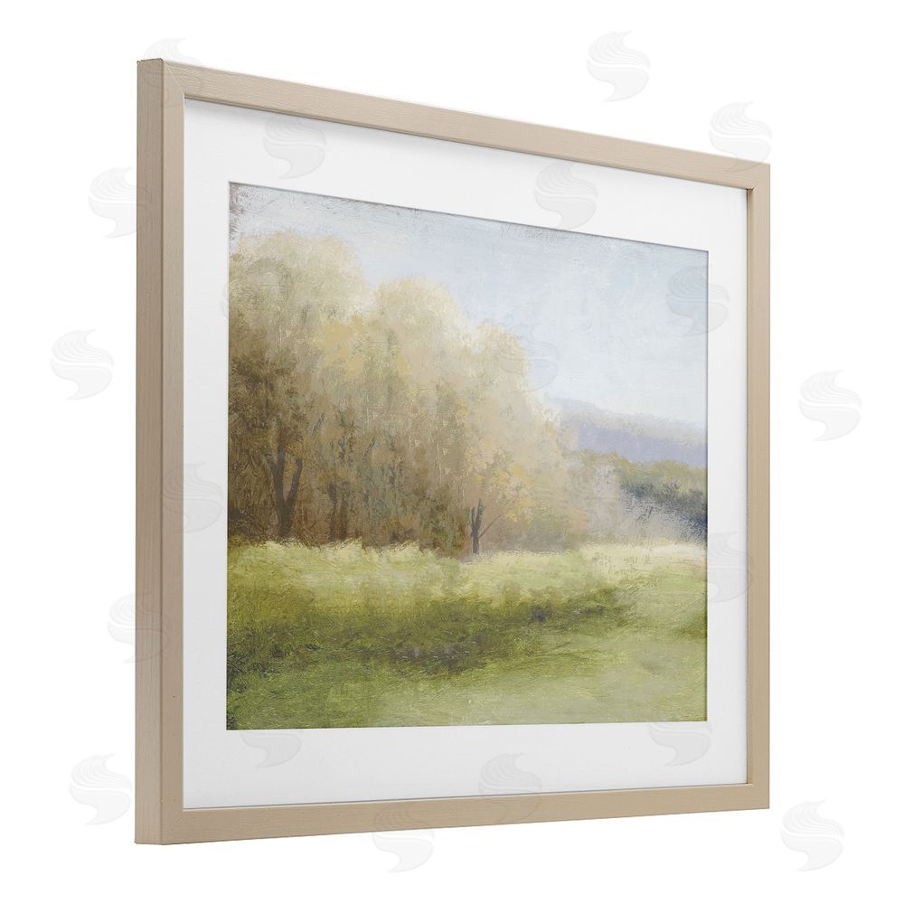Sundance Graphics Within a Familiar Place Landscape Birch Framed Print Under Glass Wall Art
