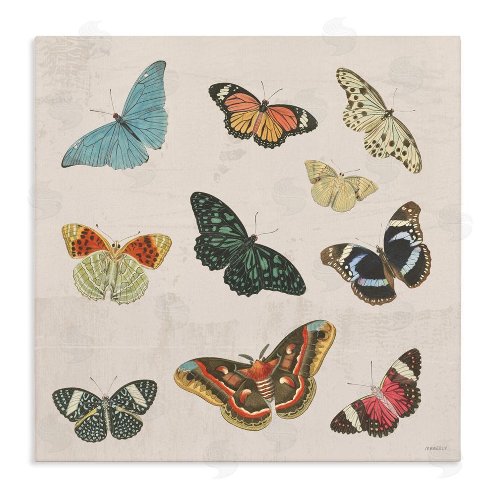 Sundance Graphics Vintage Butterfly Flight Canvas Wall Art Print