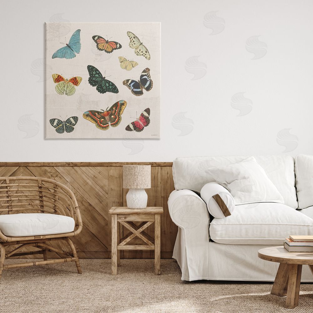 Sundance Graphics Vintage Butterfly Flight Canvas Wall Art Print in Room