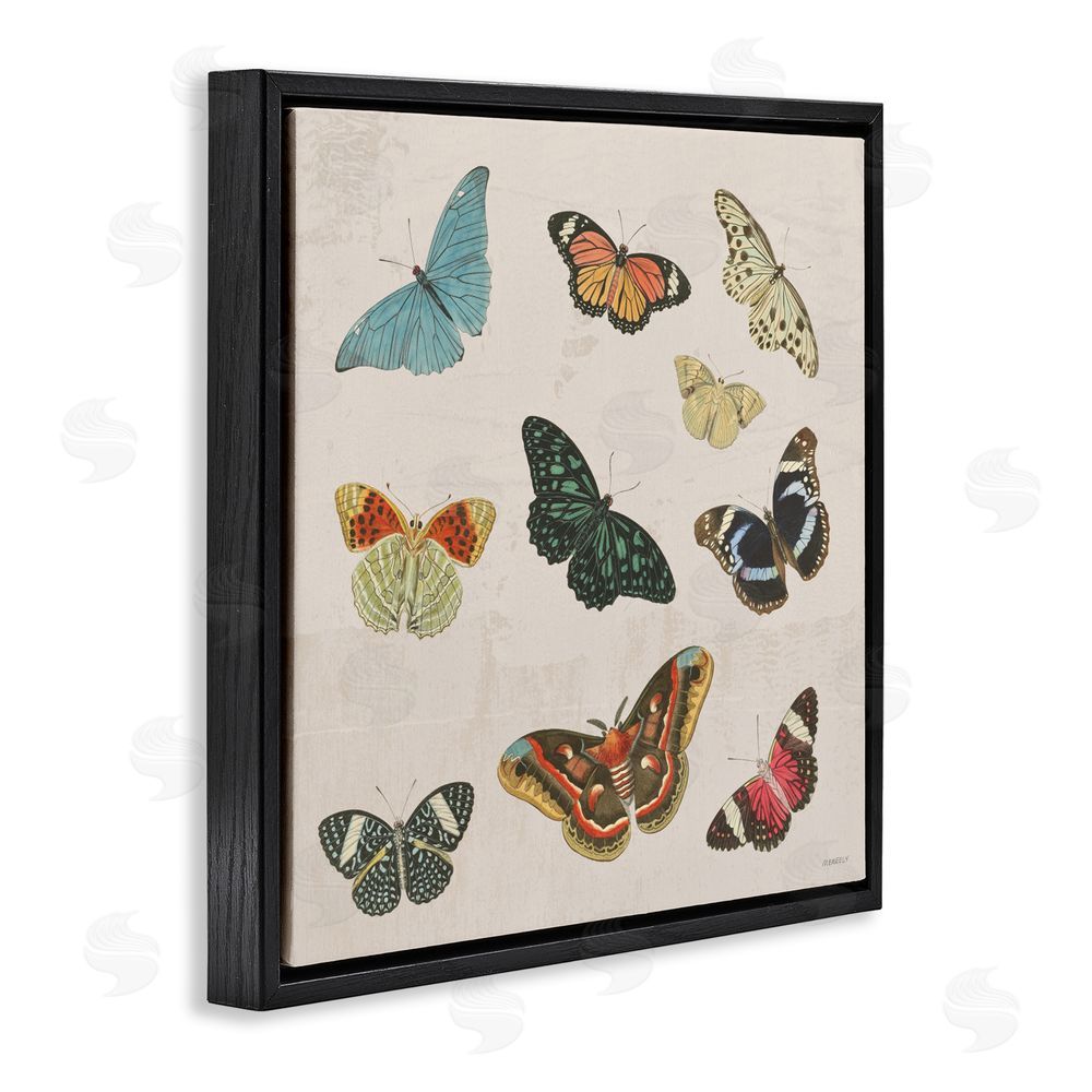 Sundance Graphics Vintage Butterfly Flight Black Floating Frame Canvas Wall Art Print